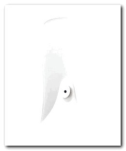 Hidden Cameras in Smoke Detectors